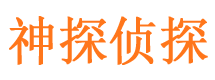 澜沧调查事务所